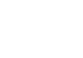 Parrotag Advertising